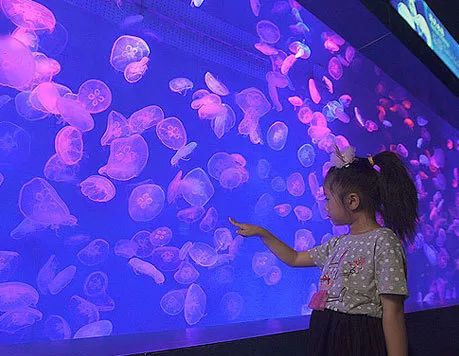 八大主题海洋乐园,全球十大不可思议的水上乐园