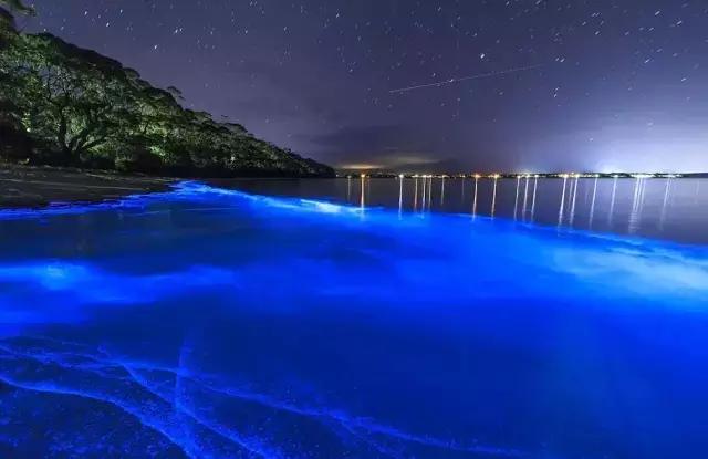 100张惊人奇怪照片,100张绝对惊人的照片