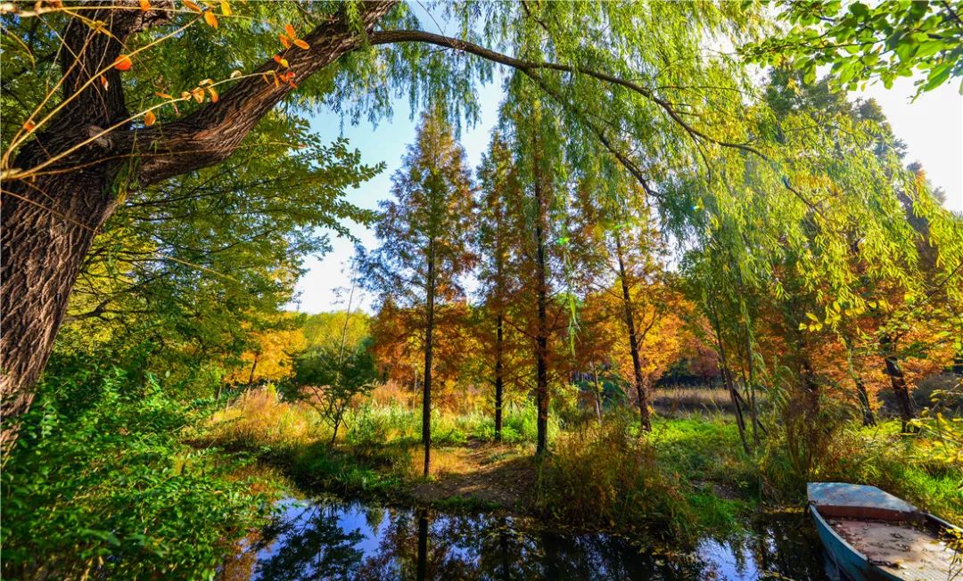 济南森林公园雪景,济南最美森林公园