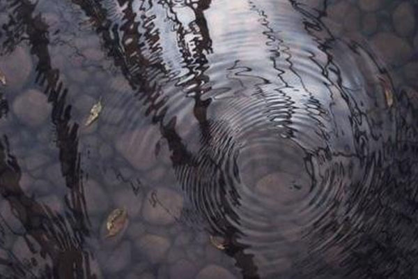 看透人间冷暖世态炎凉的句子,人生世态炎凉感悟的经典句子