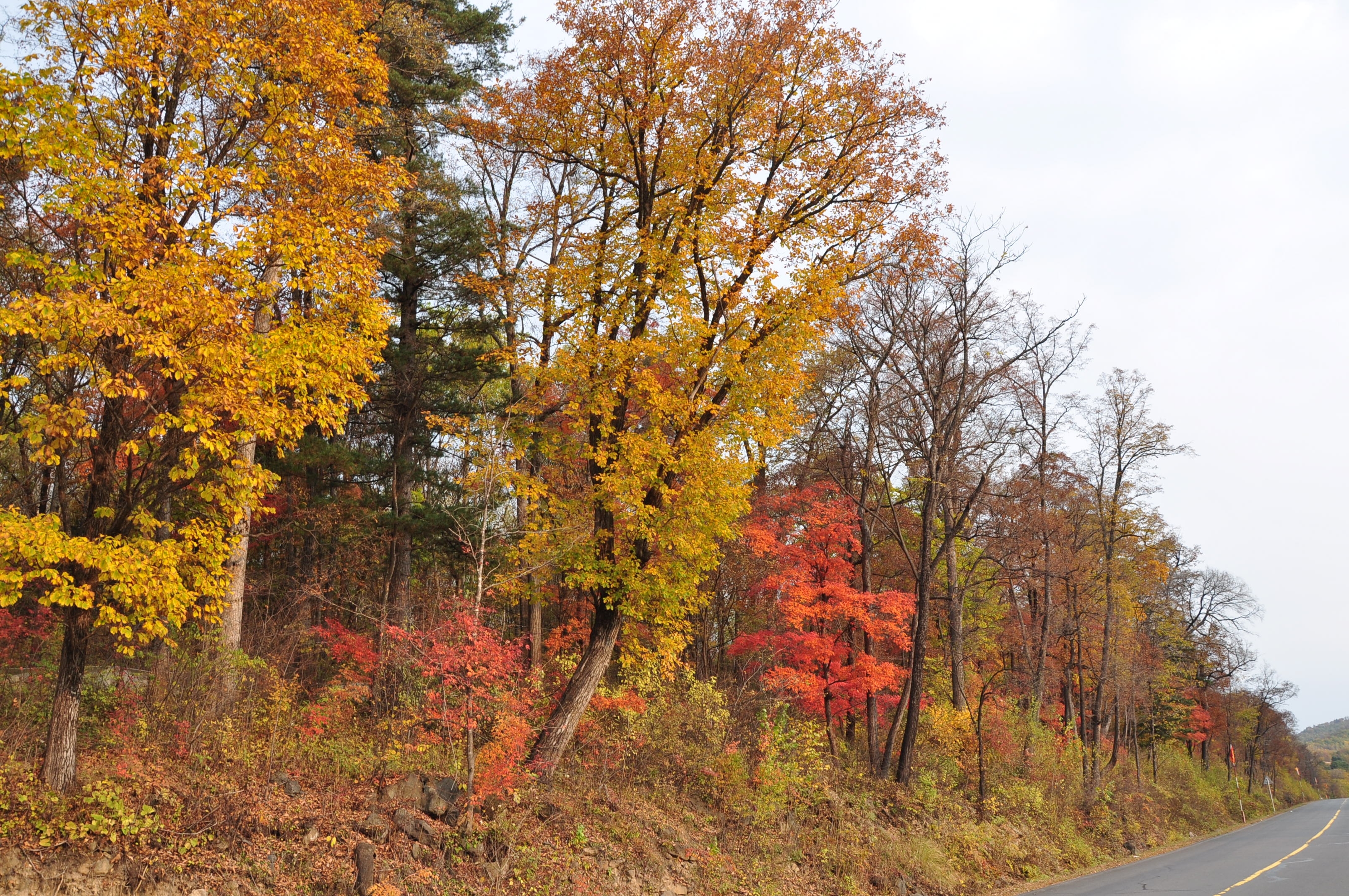 自驾西北旅行记,西北环线自驾旅行记录
