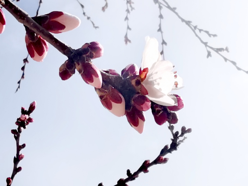 部编一年级语文下册注音,部编二年级下册语文注音练习