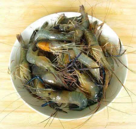 开海特价海鲜,开海的海鲜视频