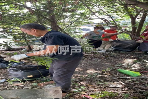 成都一小区“蛇患严重”？街办回应：撒硫磺粉驱蛇