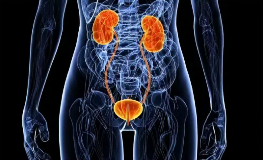 《疏调云讲堂》第五十八期中医气机理论（二十一）