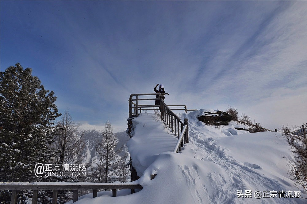 诗与远方：冬游喀纳斯