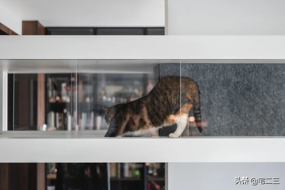 屡次获奖的设计团队,如何用6年诠释“有限制的不设限精神”?