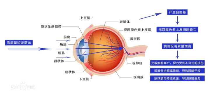 怎样选到真正好看的眼镜框,选择什么样的眼镜框比较好看