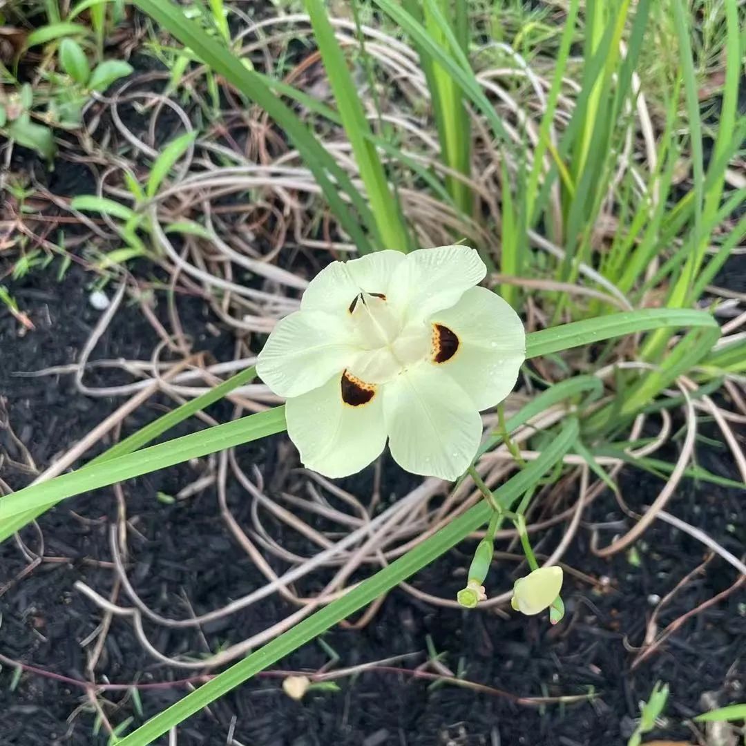七月的晚霞好美,夏天六月的晚霞