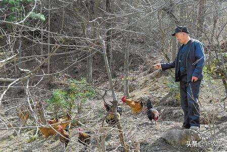 承包1800亩田地一年可以赚多少钱,租地300亩租金1200一年盈利多少