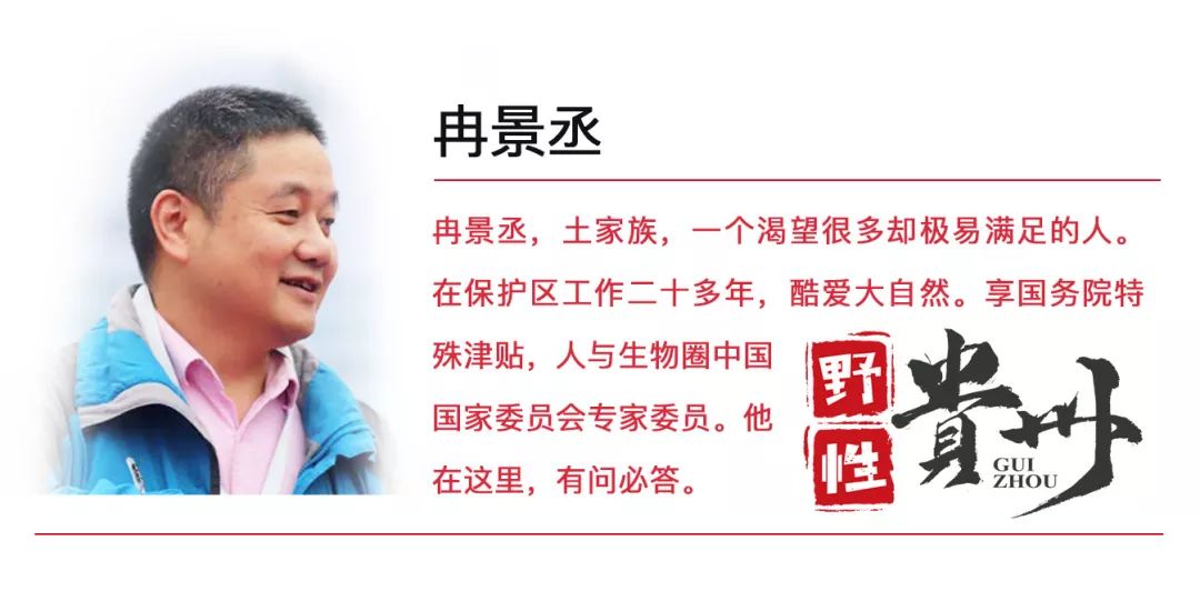 着它蛰一下火烧火燎，你印象中满身带刺的“火辣子”妈妈是谁