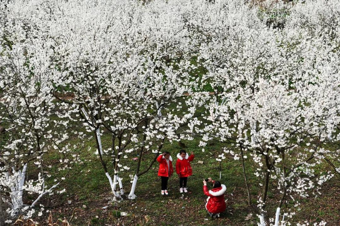 脱贫攻坚的伟大成就,中国脱贫攻坚全纪实