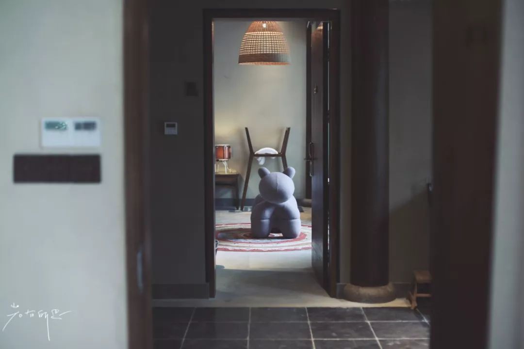 三月赏花一日游上海景点,本月上海赏花一日游最佳去处