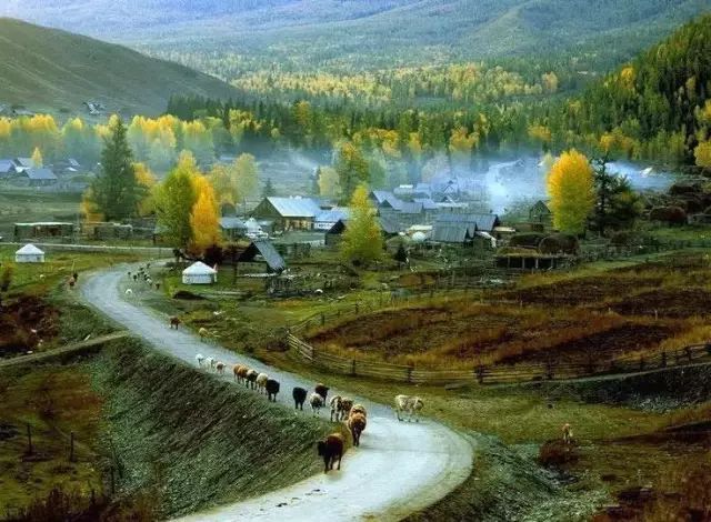 阿勒泰秋季旅行,新疆旅行阿勒泰秋天