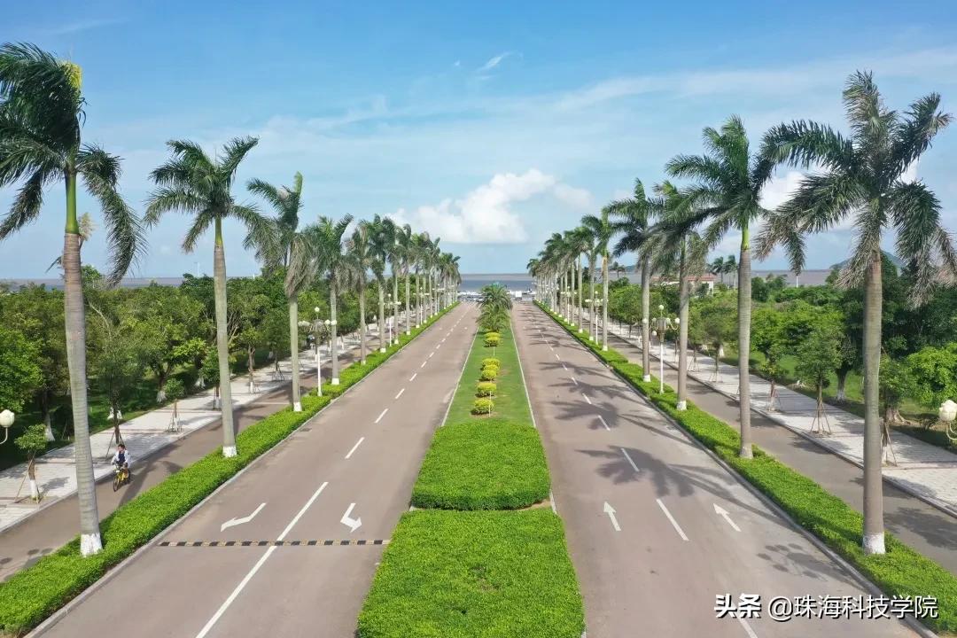 读一所校园环境和学习氛围全方位一流的大学是什么体验？
