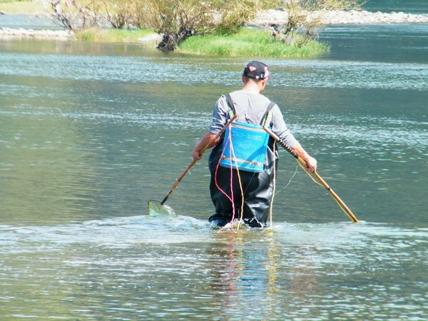 可视锚鱼在什么区域不违法,锚鱼在禁鱼区没锚到严重吗