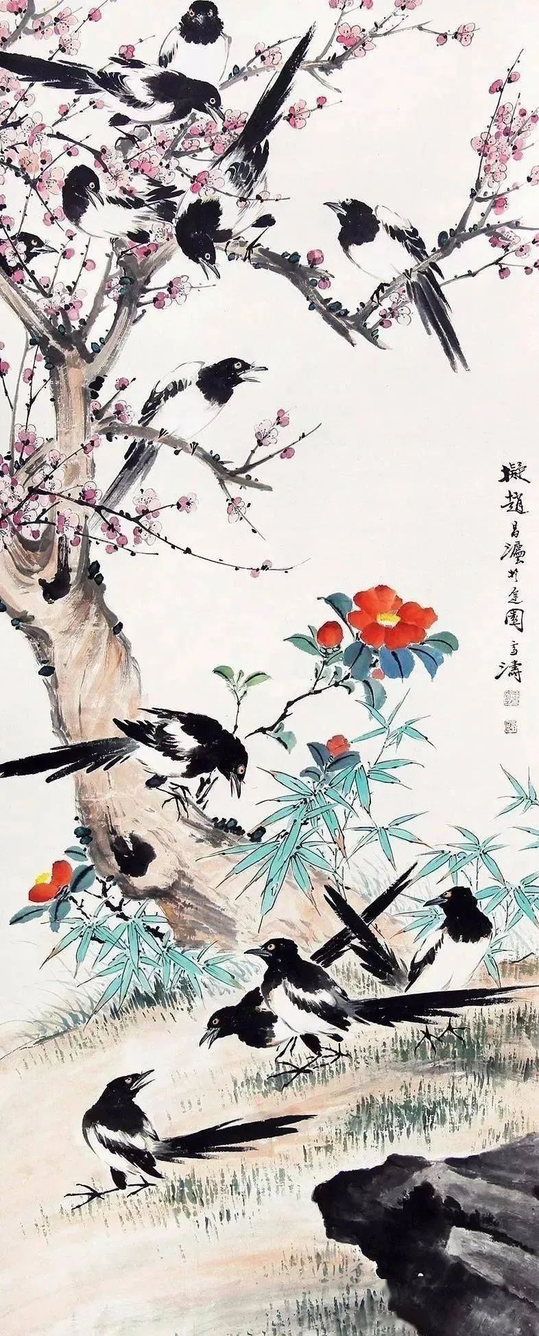 慢慢学花鸟｜这胖胖的哑嗓大黑鸟怎么成了“喜”鹊？