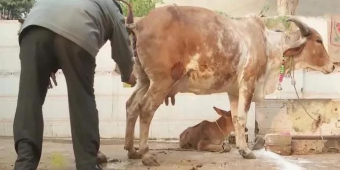 瞒不住了！这个国家感染人数可能破5亿！上千万人或丧命！