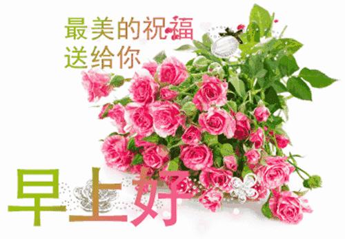 关于早上好的唯美句子带图片,周一漂亮的早上好图片正能量短句