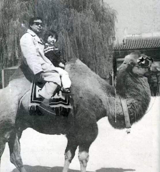 路遥谈贾平凹哭了,贾平凹评价路遥经济困难