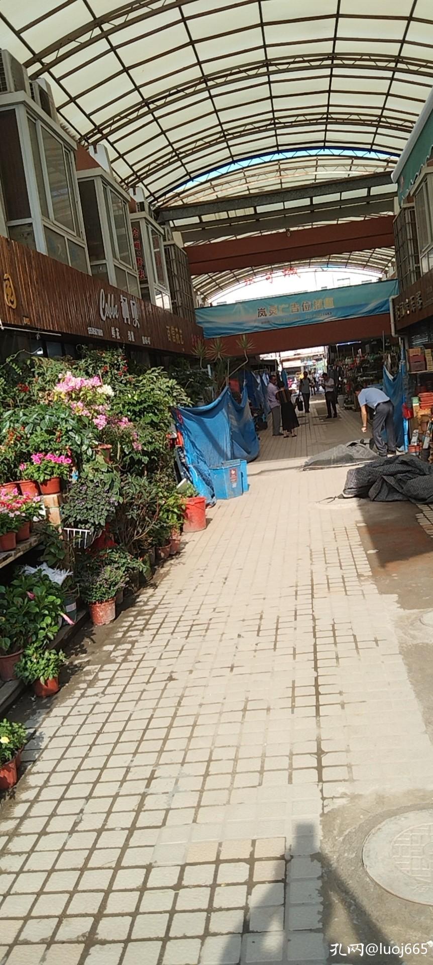 来逛逛上海灵石路的古玩早市,上海古玩市场一条街在哪里