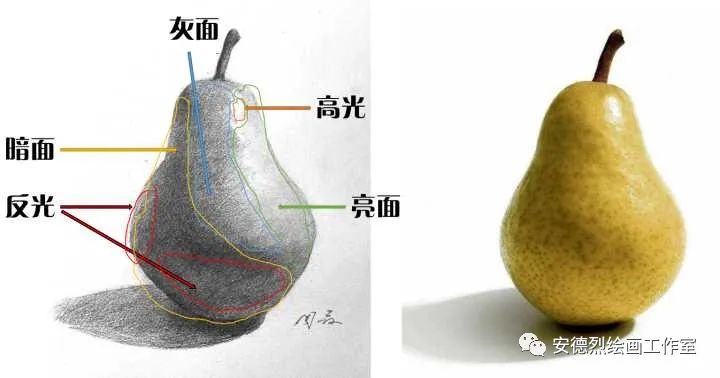 素描人头怎么擦出体积感,人像素描体积感如何表达