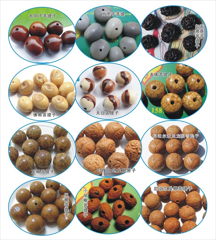菩提佛珠分哪些种类图片大全,小金刚菩提的种类有哪些