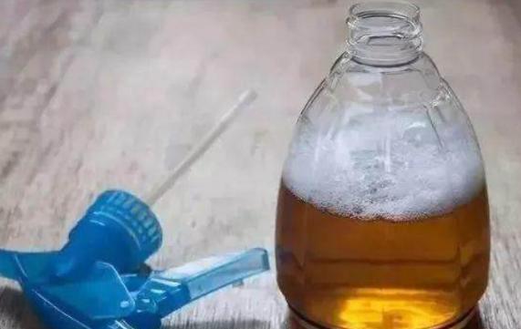 养花有小黑飞的最佳治愈方法,养花出现小黑飞怎么处理