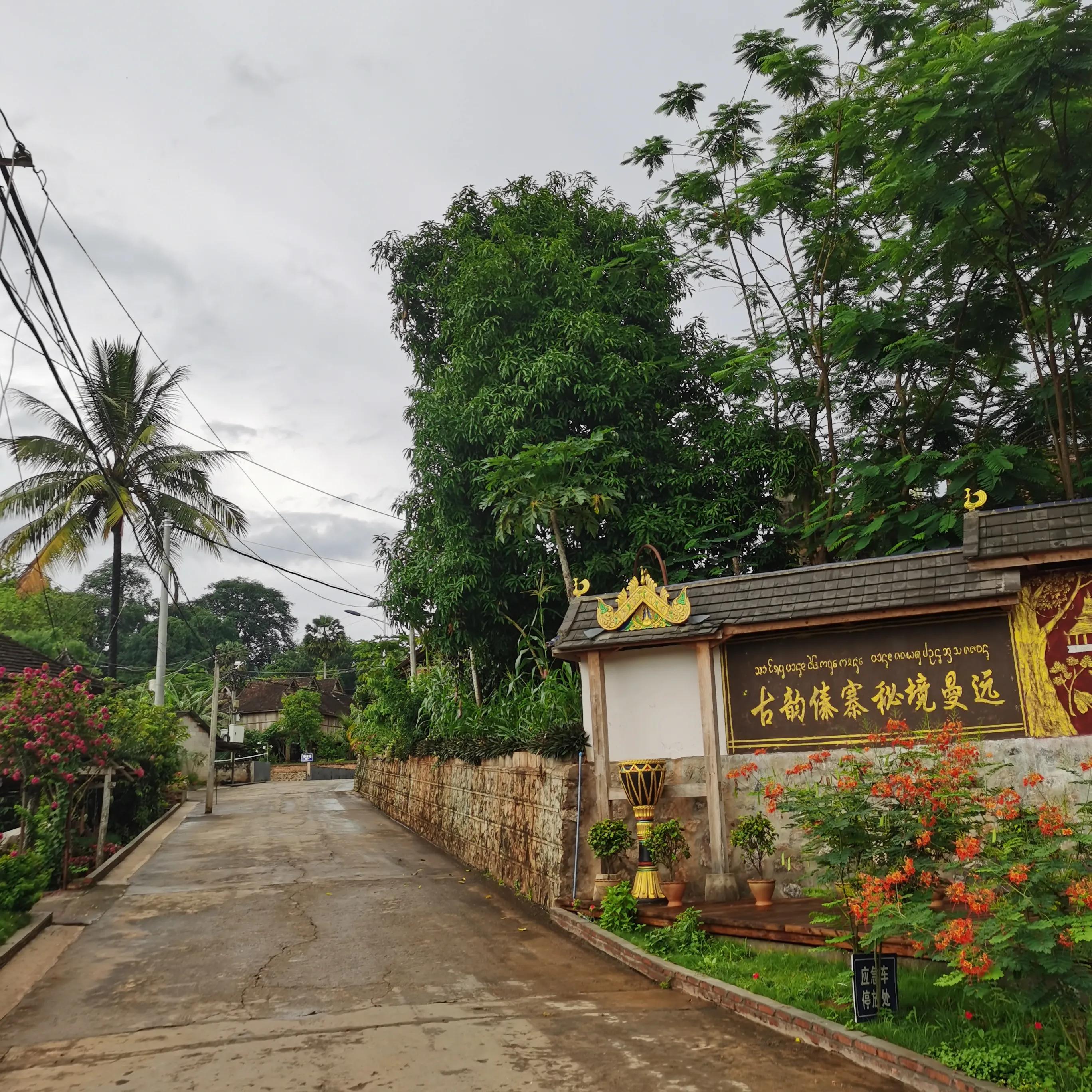 西双版纳曼远村游,西双版纳自由行一天攻略傣族园