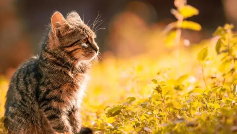 友情的尽头是孤独,一段渐行渐远的友情