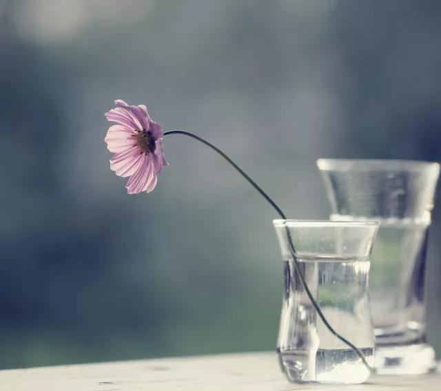 一个女人和那些车-,下