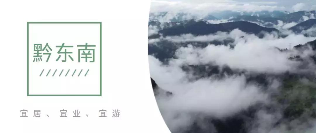 近年贵州省财政收入增长率,黔东南全年财政收入多少