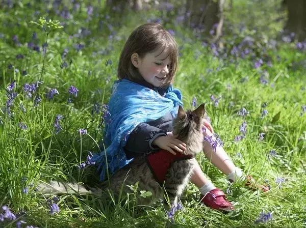 那些在纸上画画的神奇小孩,盘点那些年纪小画技超群的孩子