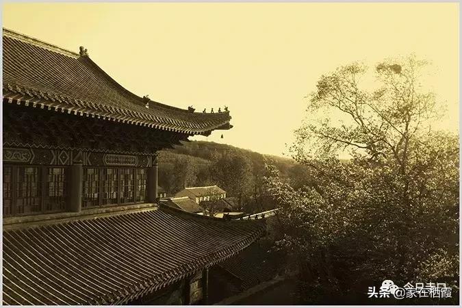 栖霞的美食,栖霞有哪些好吃的美食