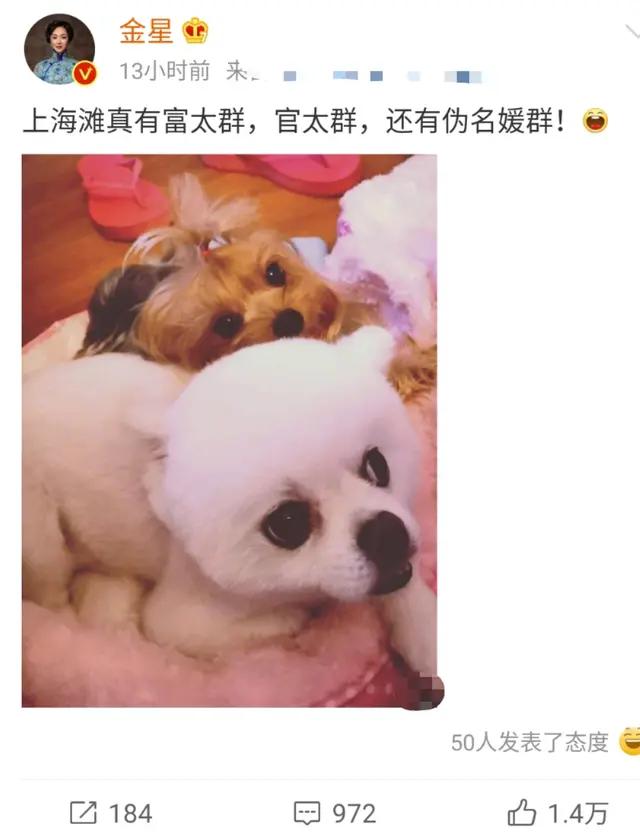 上海名媛群装白富美,上海名媛群拼团炫富打卡