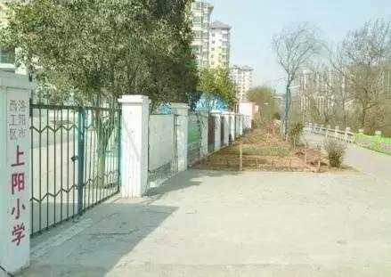 2021年洛阳高新区各小学划片范围,洛阳小学划片政策