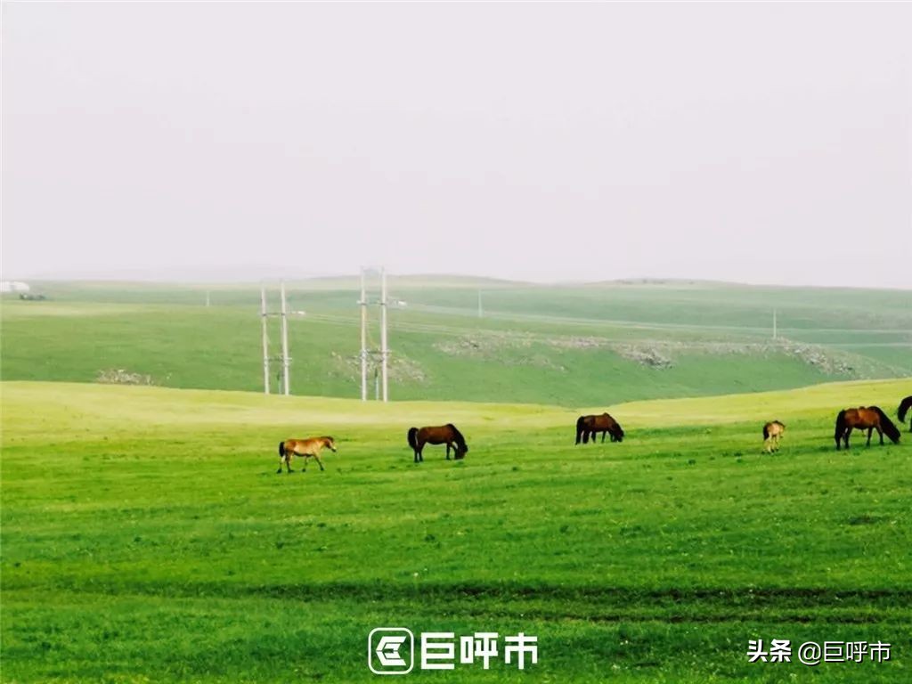 五月份去黄花沟好玩吗,五一黄花沟值得去吗