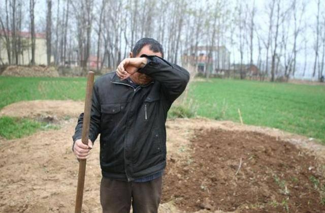 农村土地改革好不好,农村坟地有什么新政策吗