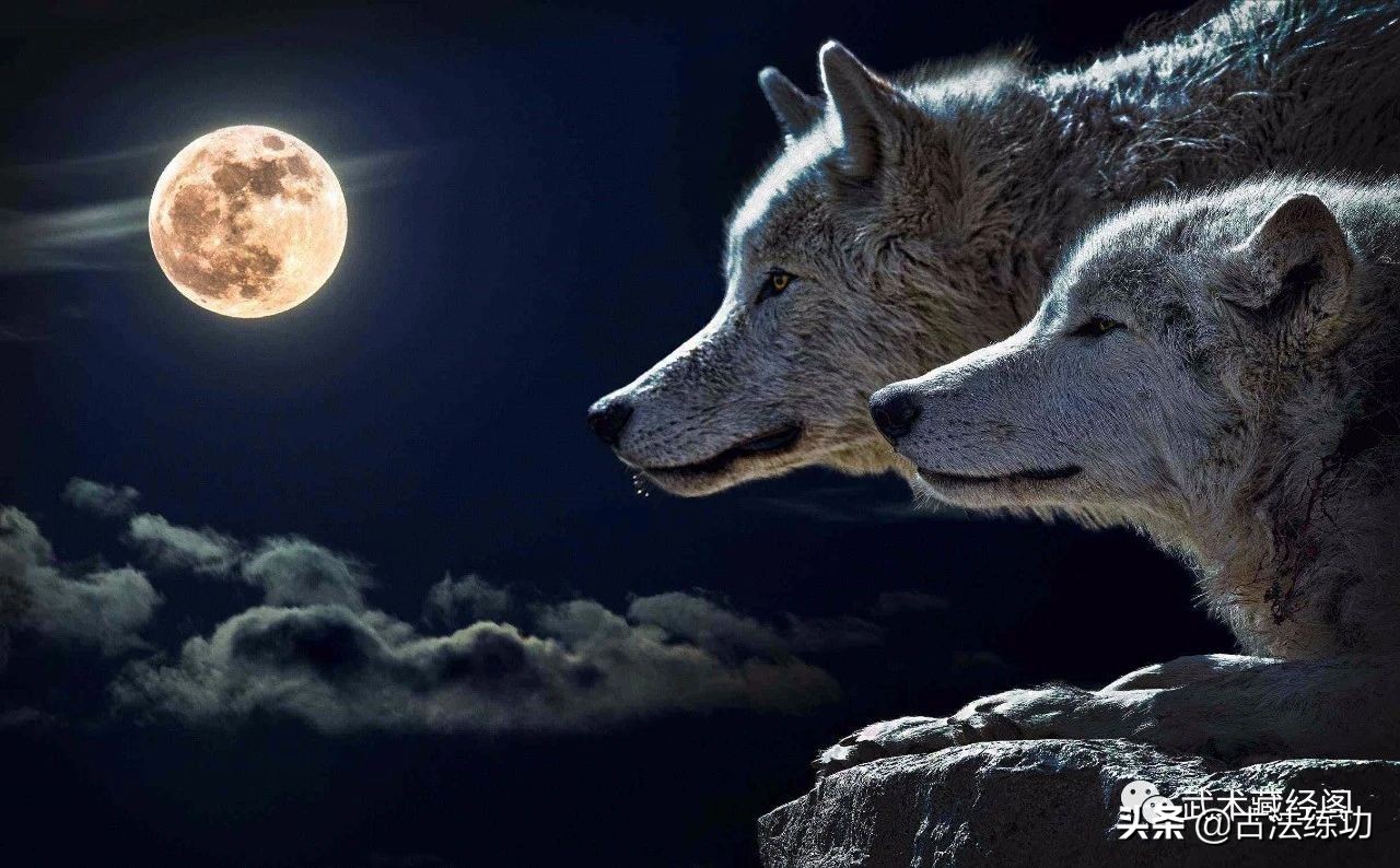 尾骶中正指的是尾闾骨吗,尾闾穴与尾椎是同一个位置