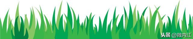 内江威远县足球基地,内江新足球运动场