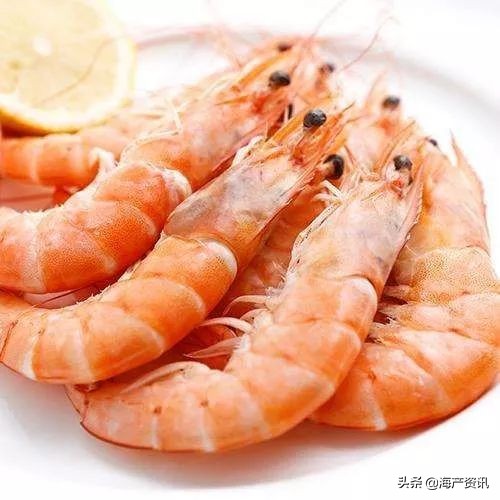 南美白对虾最全知识科普,南美对虾科普知识大全