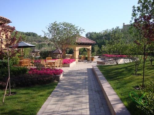 绿地城二期绿化乌鲁木齐,乌鲁木齐中海万锦公馆绿化环境