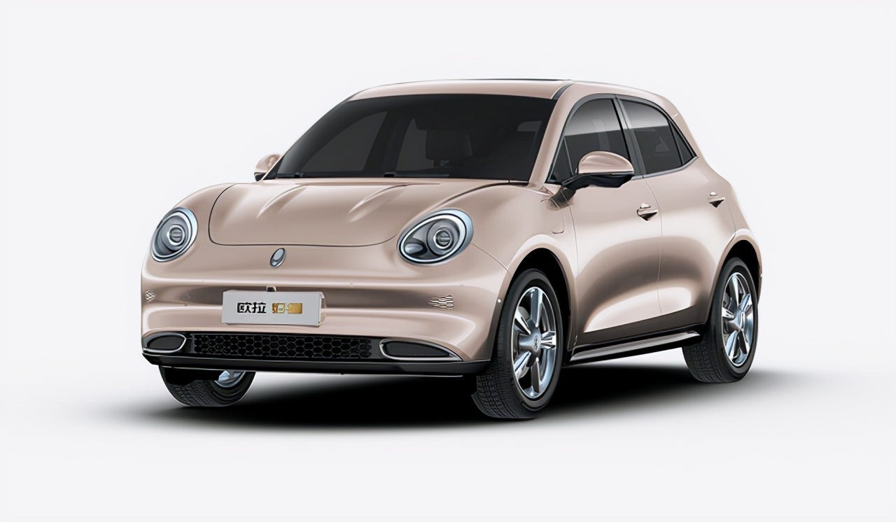 泰国欧拉好猫现状,最贵的欧拉好猫