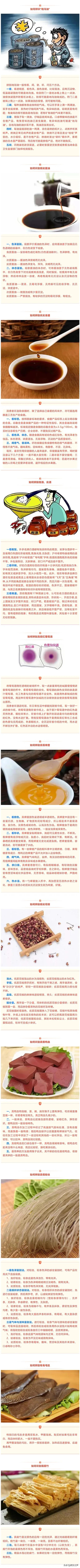 最容易买到的5种假货,警惕这些假货不要上当受骗