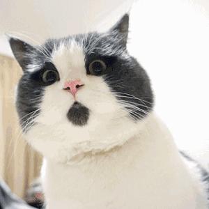 哈哈哈！没想到中国人看不上眼的土味“神货”，老外竟然都抢疯了