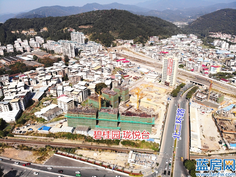 太仓2019宁波路与人民路地块土拍,武汉2019土拍213号地块