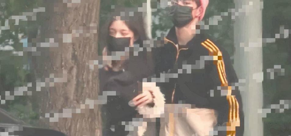 夏之光曝光恋情,夏之光钟丽丽王思聪