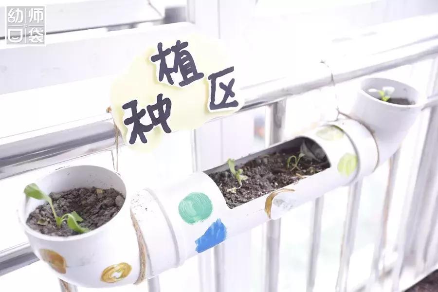 特色幼儿园活动区,高端幼儿园特色活动