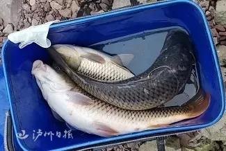 鱼竿上装摄像头，泸州5男子非法捕捞遭刑拘