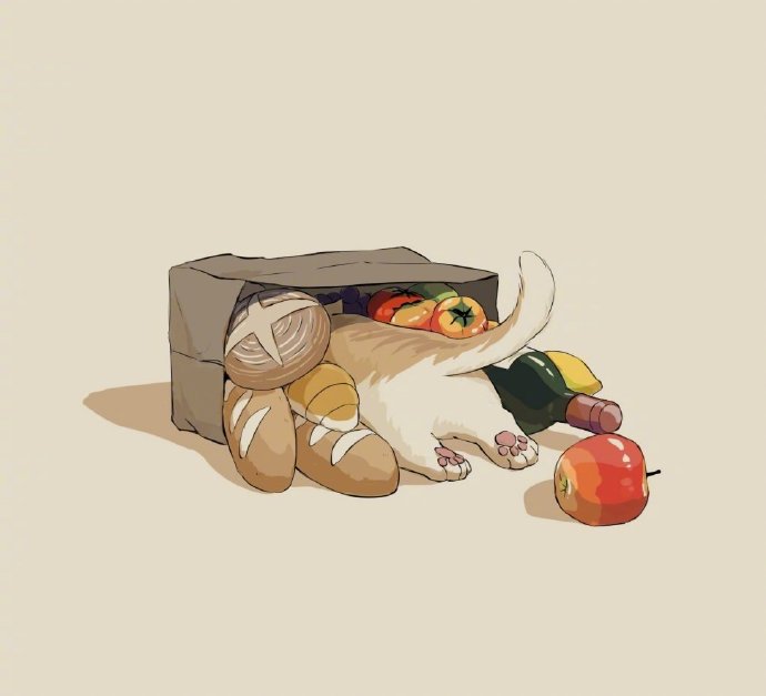 不同品种的猫咪插画,猫咪四大天王之猫插画